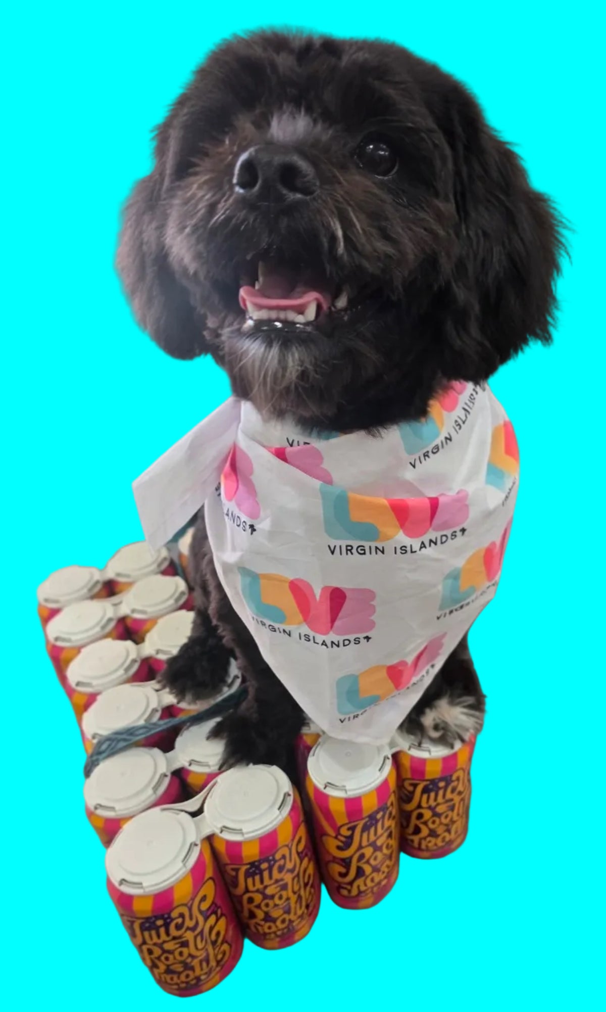 Dog Bandana