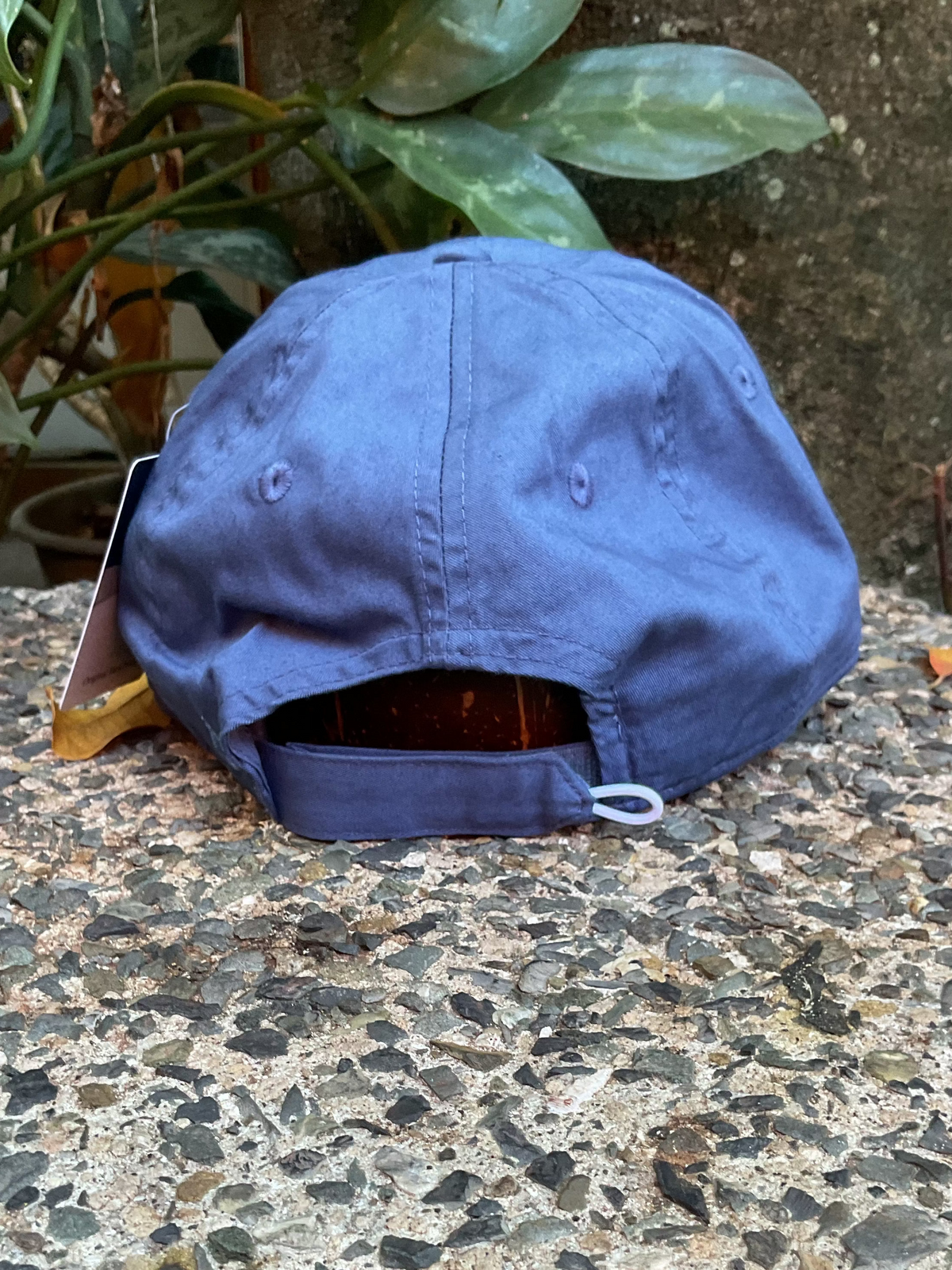 Taproom Circle Hat - C47LGT